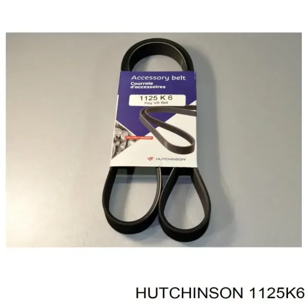 Correa de alternador 1125K6 Hutchinson