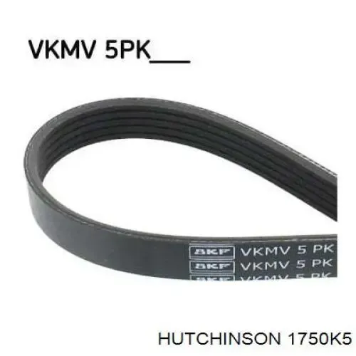 Correa de alternador 1750K5 Hutchinson