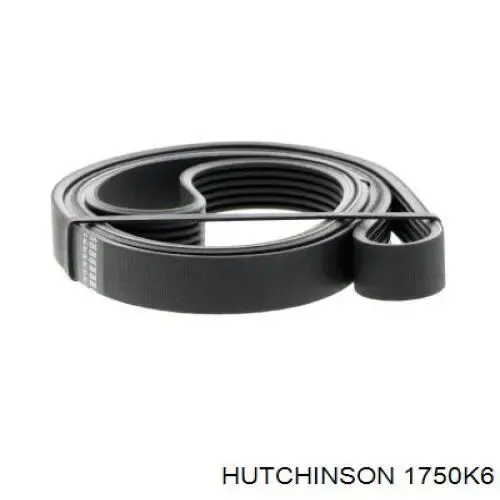 Correa trapezoidal Volkswagen LT 2DB, 2DE, 2DK