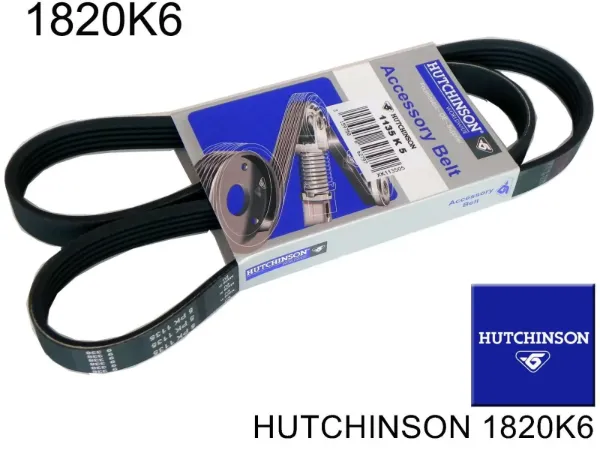 Correa de alternador 1820K6 Hutchinson