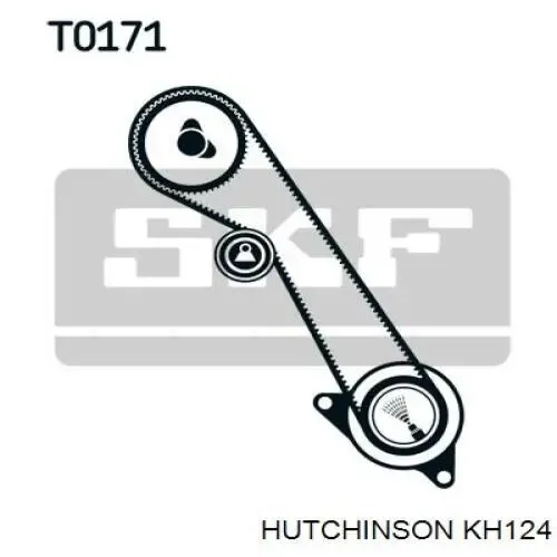 Kit correa de distribución Ford Focus 1 DFW