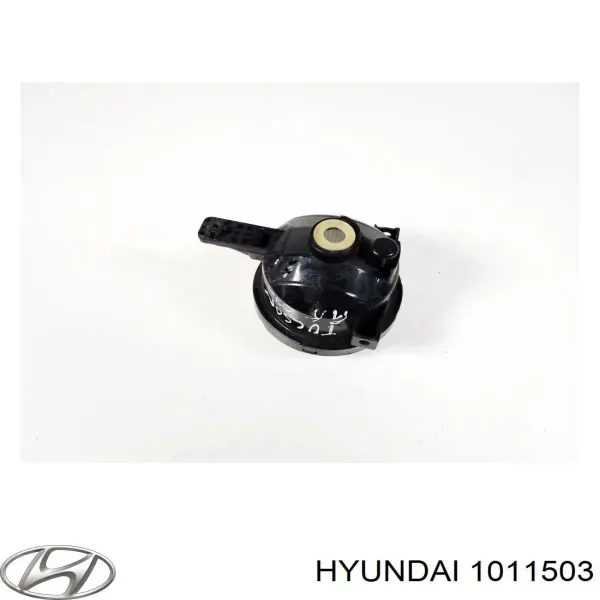  1011503 Hyundai/Kia