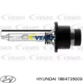 Bombilla de xenón Hyundai Sonata EF