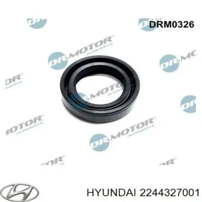 Junta anular, cavidad bujía HYUNDAI 2244327001