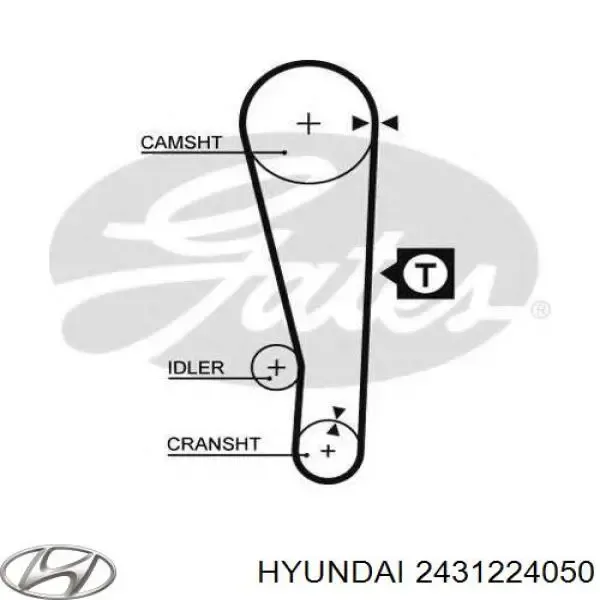 Correa distribución 2431224050 Hyundai/Kia