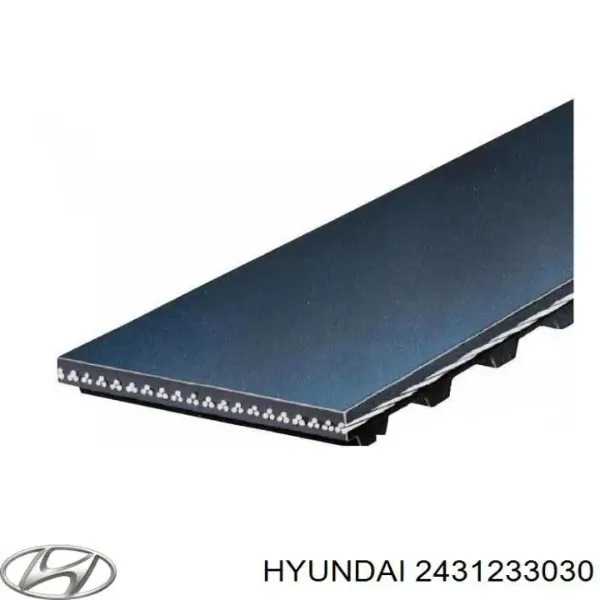 Correa distribución 2431233030 Hyundai/Kia