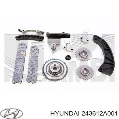 Cadena, bomba de aceite HYUNDAI 243612A001