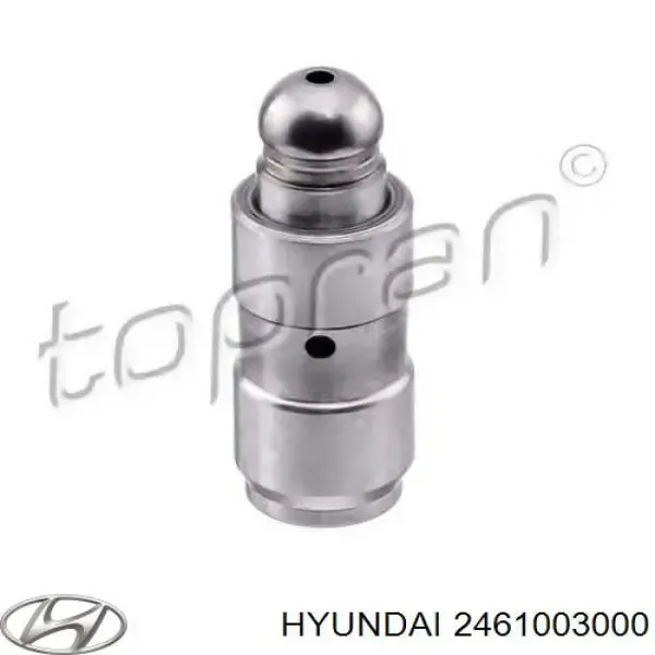 420008610 LUK