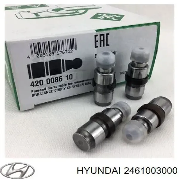 420008610 LUK
