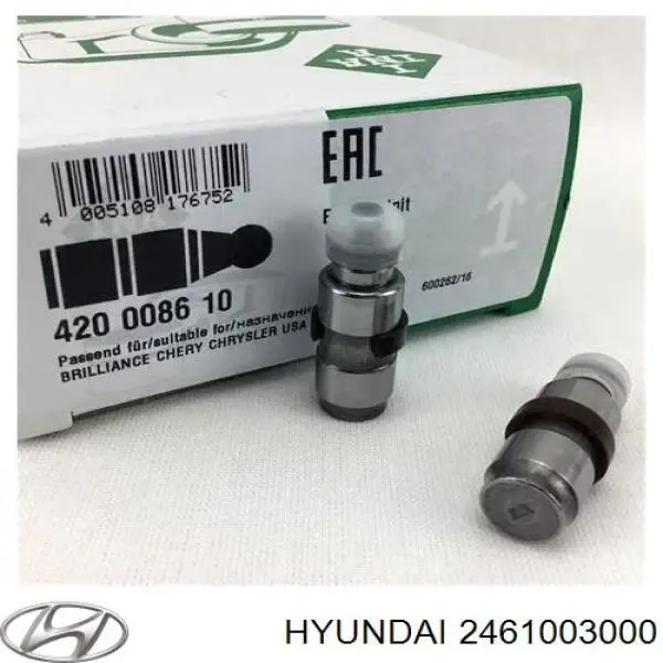 420008610 LUK