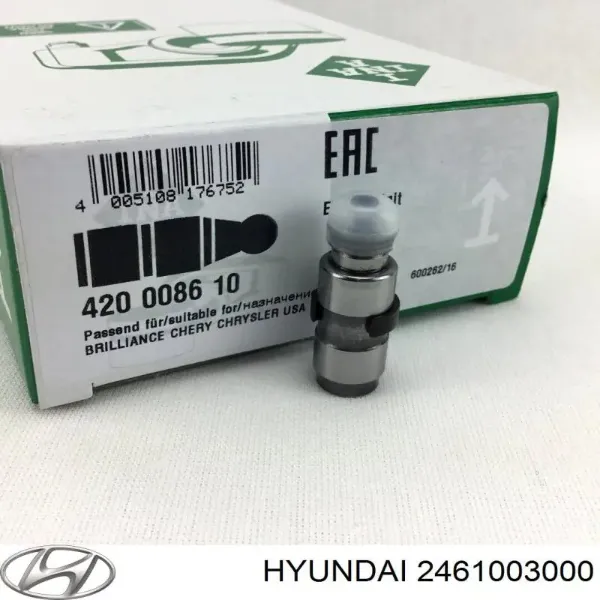 420008610 LUK