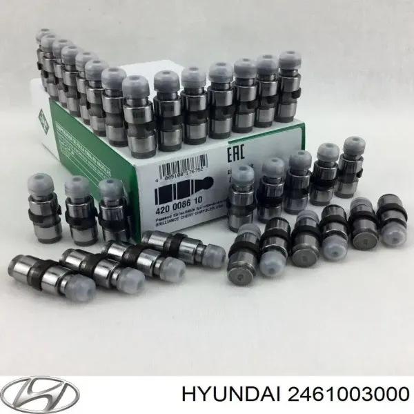 420008610 LUK