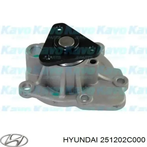 Bomba de agua 251202C000 Hyundai/Kia