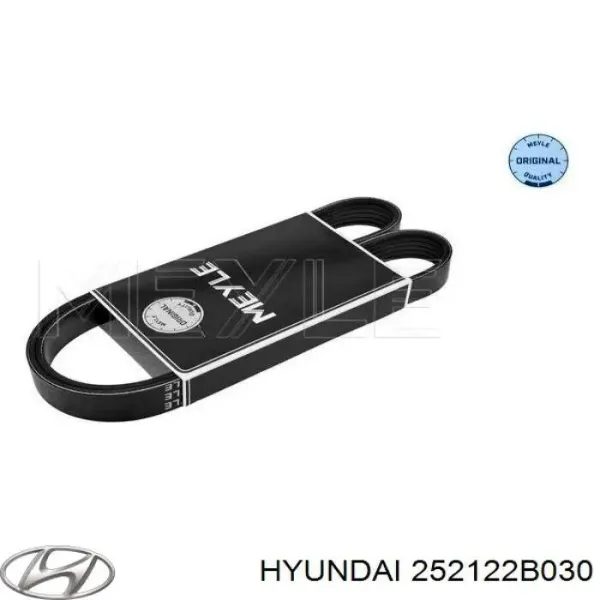 Correa de alternador 252122B030 Hyundai/Kia