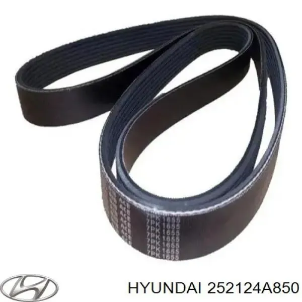 Correa de alternador 252124A850 Hyundai/Kia