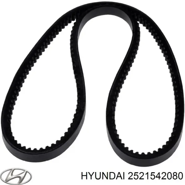 Correa de alternador 2521542080 Hyundai/Kia