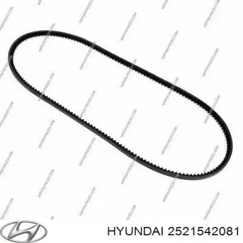 Correa de alternador 2521542081 Hyundai/Kia