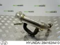 Enfriador de recirculación de gases de escape EGR KIA Cerato LD