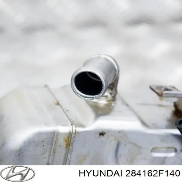 Enfriador EGR de recirculación de gases de escape Hyundai Ix35 LM