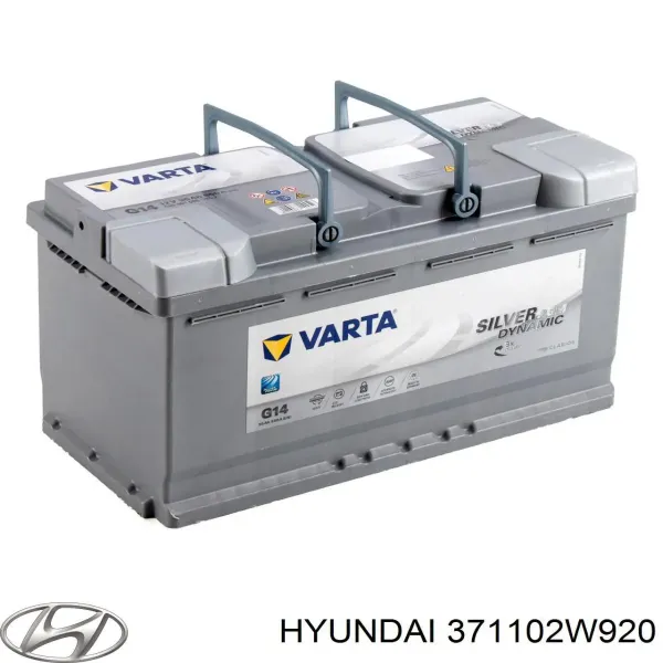 V99170020 Vemo