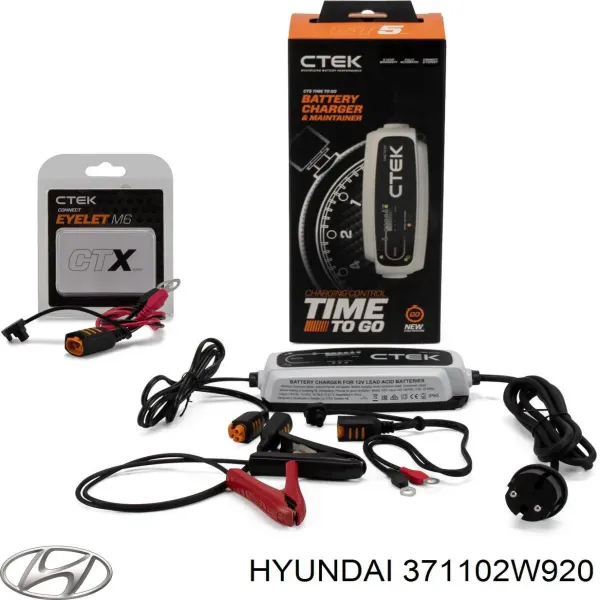 V99170020 Vemo