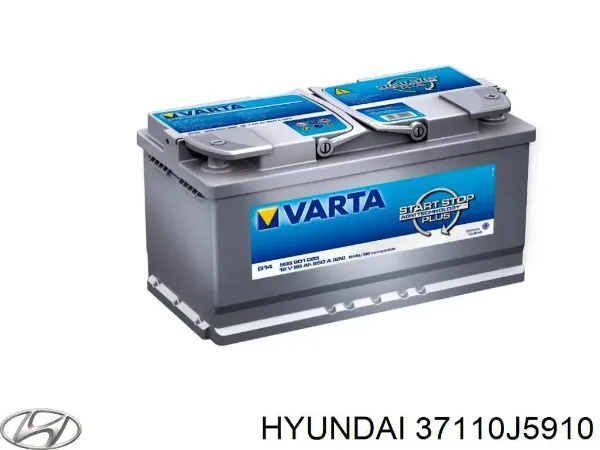 V99170020 Vemo