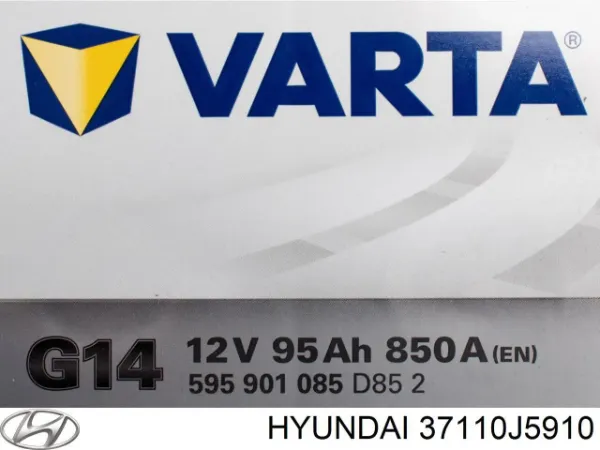V99170020 Vemo