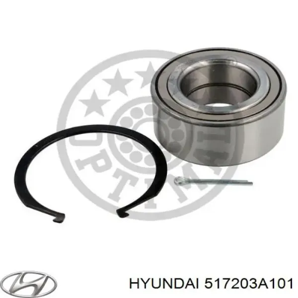 517203A101 Hyundai/Kia