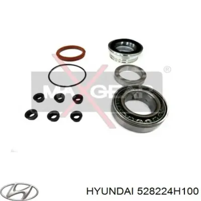 Anillo de retención del rodamiento del semieje trasero HYUNDAI 528224H100