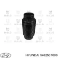 Fuelle, amortiguador delantero Hyundai I10 PA