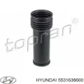 Guardapolvo amortiguador trasero Hyundai Sonata EU4
