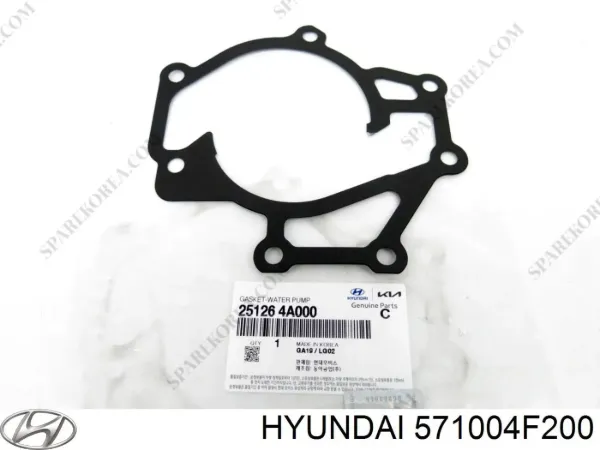 Bomba de dirección 571004F200 Hyundai/Kia