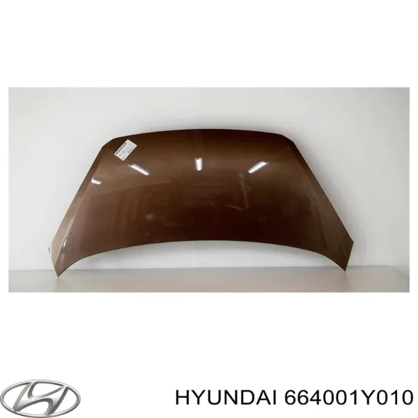 Capó del motor 664001Y010 Hyundai/Kia