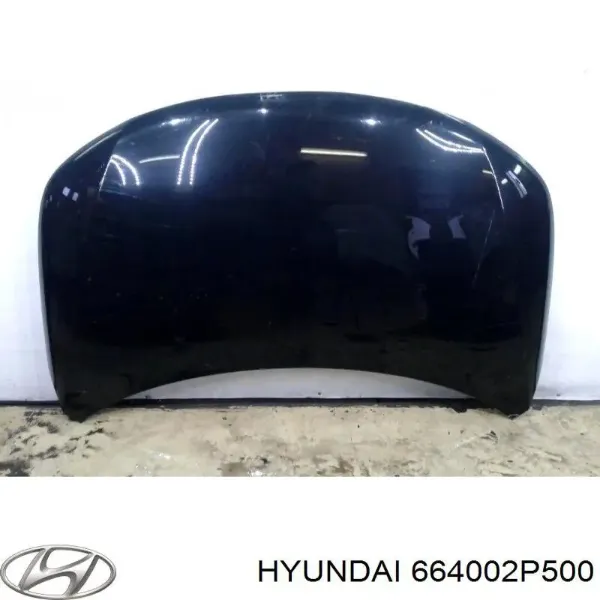 Capó 664002P500 Hyundai/Kia
