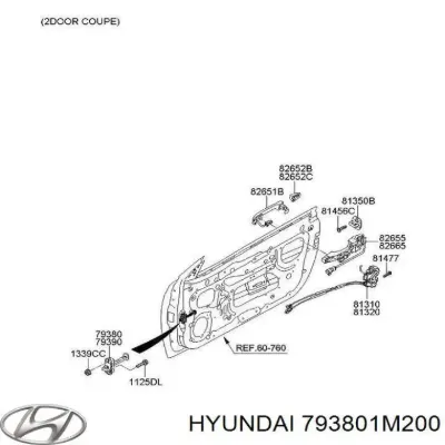 Limitador de apertura de puerta delantera izquierda HYUNDAI 793801M200