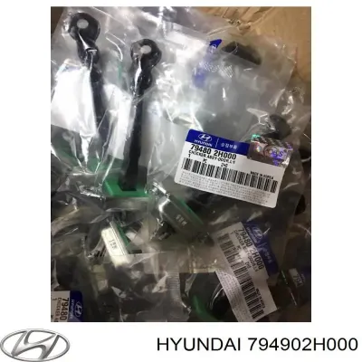 Limitador de apertura de puerta trasera derecha HYUNDAI 794902H000