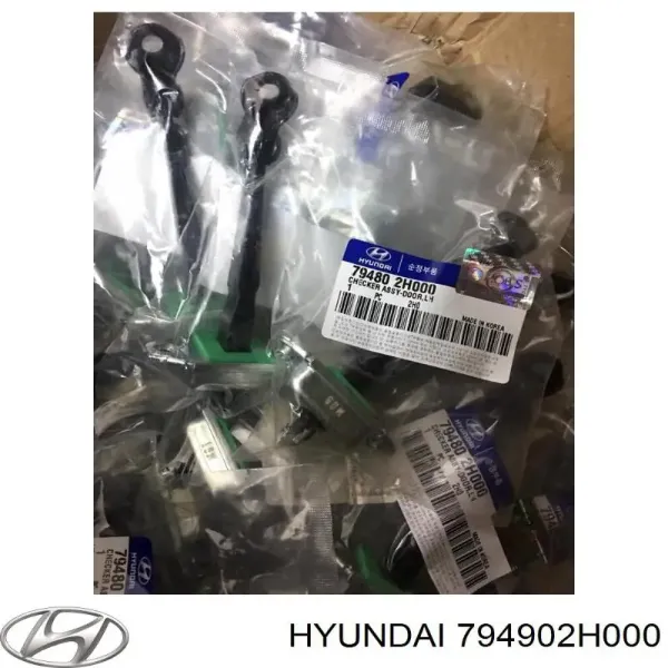 Limitador de apertura de puerta trasera derecha 794902H000 Hyundai/Kia