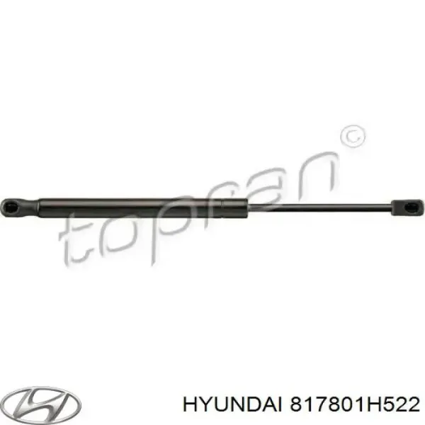 Amortiguador maletero 817801H522 Hyundai/Kia
