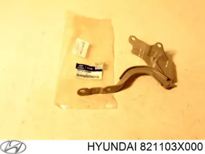Junta de puerta delantera izquierda (en carrocería) HYUNDAI 821103X000