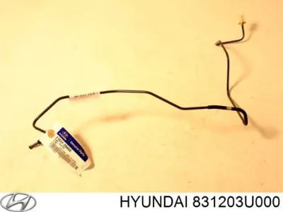 Junta de puerta trasera derecha (en carrocería) HYUNDAI 831203U000