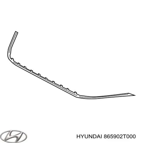 Protector para parachoques 865902T000 Hyundai/Kia