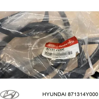 Moldura de luneta trasera HYUNDAI 871314Y000