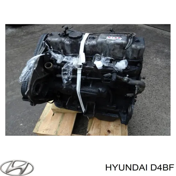 Motor completo D4BF Hyundai/Kia