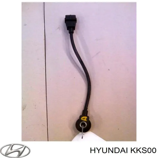  KKS00 Hyundai/Kia