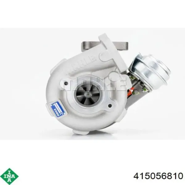 Volante motor 415056810 INA