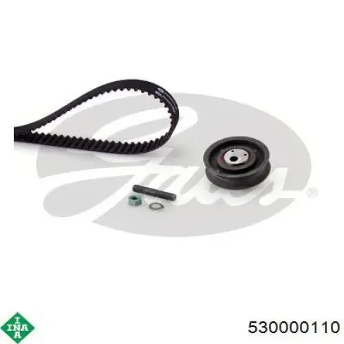 Kit de distribución 530000110 INA