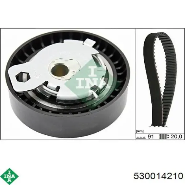 Kit correa de distribución Ford Focus 1 DFW