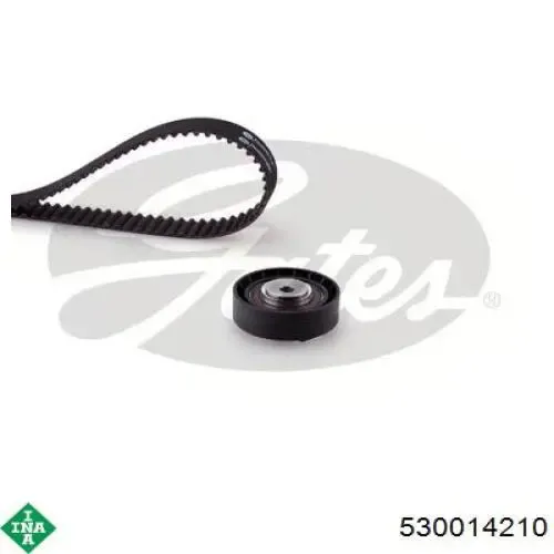 Kit correa de distribución Ford Focus 1 DFW