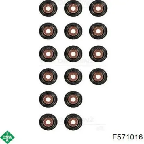 Rodillo, cadena de distribución Volvo S80 2 AS, AR