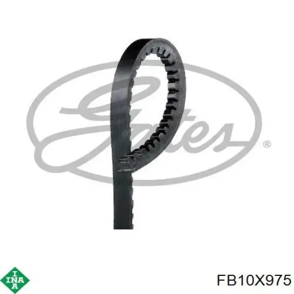 Correa de alternador FB10X975 INA